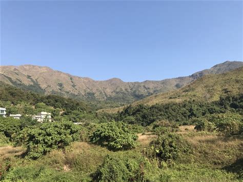 布心排村風水|布心排>犁壁山村>黃嶺>衛奕信徑第9段>屏風山>平頂坳>南涌郊遊。